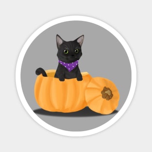 Pumpkin Cat Magnet